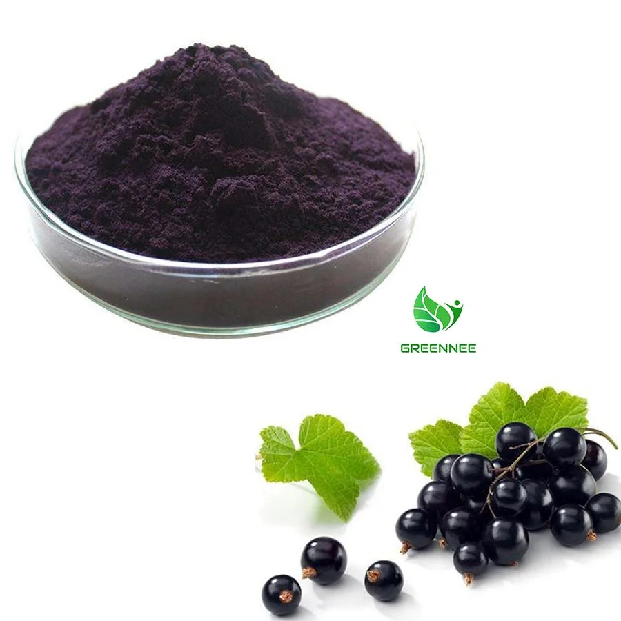 100% Pure Natural Blackcurrant Fruit Powder Black Currant Extract Powder