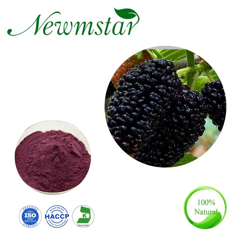 10: 1 25% APC Mulberry Extract Mulberry Fruit Powder