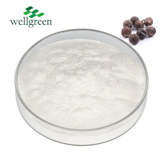 Natural Plant Extract Sapindus Mukorossi Extract Soapnut Fruit Extract Powder 10: 1 40%, 70%