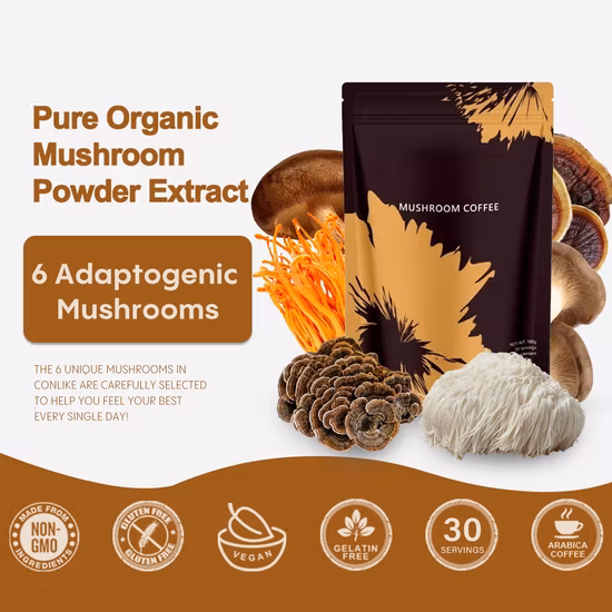 Benefiting Five Internal Organs and Improving Immunity Organic Lion′s Mane Hericium Erinaceus Extract Powder Mushroom Extract